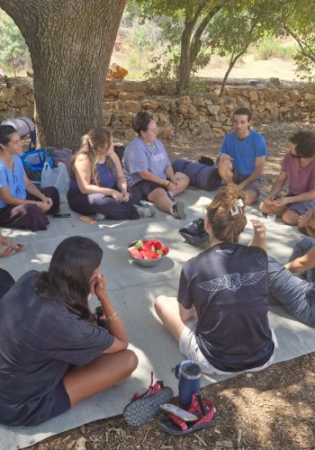 sapir-tree-circle